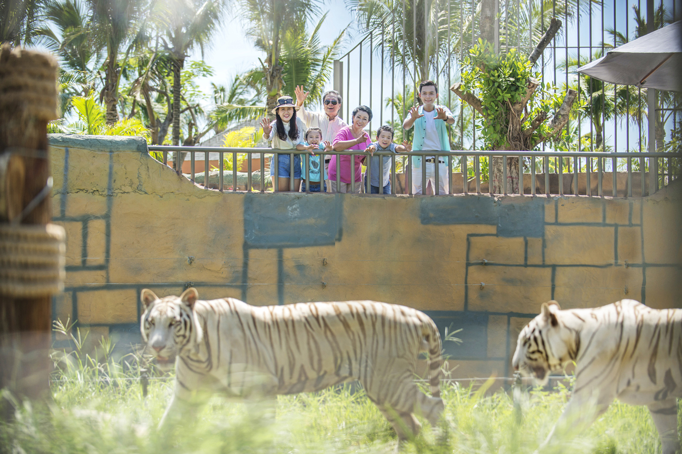Bạn cũng có thể đến thăm vườn thú tại Vinpearl Land Nha Trang