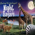 Tour Night Safari Phú Quốc – Hành trình đêm kỳ ảo