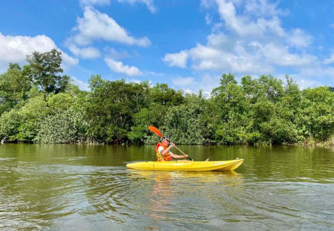 Tour chèo kayak trên sông Cửa Cạn ngắm hoàng hôn Phú Quốc